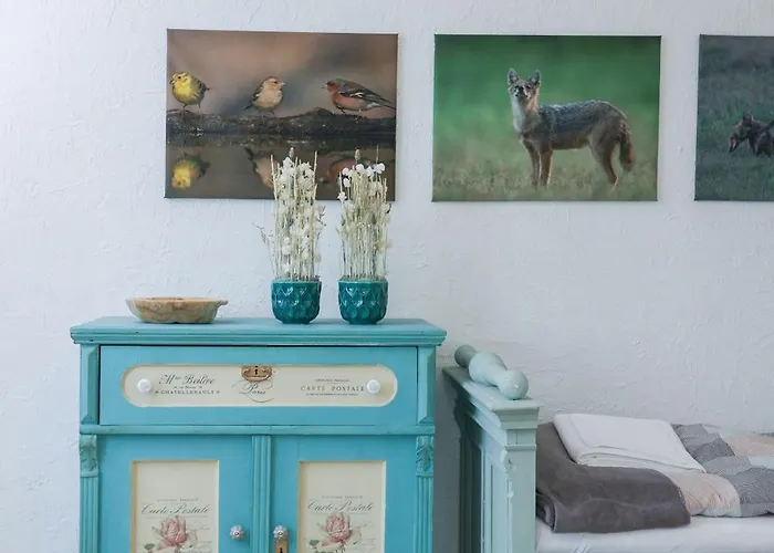 Fekete Golya Fogado Gemenc Szekszárd